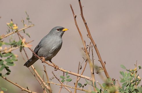 太阳城官网